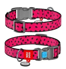 Нашийник для тварин WAUDOG Nylon "Кавун" пластиковий фастекс L (4776)