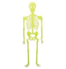 Украшение декоративное YES! Fun Хэллоуин "Скелет", 2 шт/наб, 34см, светящиеся в темноте (974354)
