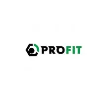 Повітряний фільтр для автомобіля Profit 1512-4264