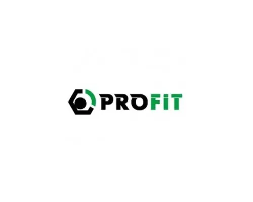Повітряний фільтр для автомобіля Profit 1512-4264