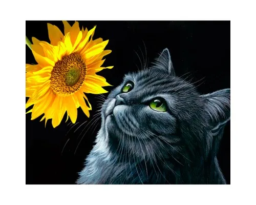 Картина по номерам Santi Кіт і соняшник, 40*50 см на підрамнику, алмазна (954450)