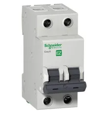 Автоматичний вимикач Schneider Electric Easy9 2P 20A C (EZ9F34220)