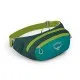 Рюкзак туристический Osprey Kestrel 68 bonsai green S/M (009.3303)