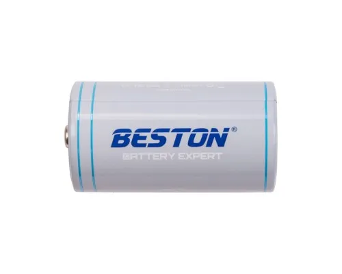 Аккумулятор D 1.5V 4000mah Li-ion з портом USB Type-C (DLC-40) Beston (AA620302)