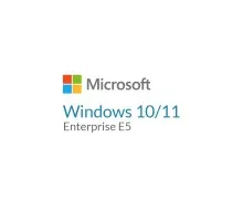 Операционная система Microsoft Windows 10/11 Enterprise E5 P1Y Annual License (CFQ7TTC0LFNW_0002_P1Y_A)