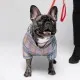 Комбинезон для животных Pet Fashion INDIGO S (клеточка) (4823082428939)