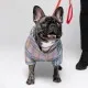 Комбинезон для животных Pet Fashion INDIGO S2 (клеточка) (4823082428946)