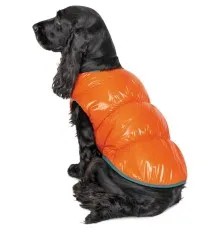 Жилет для животных Pet Fashion "SPRING" М оранжевый (4823082420483)