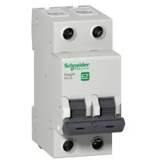Автоматический выключатель Schneider Electric Easy9 2P 6A C (EZ9F34206)