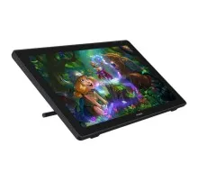 Планшет-монітор Huion Kamvas RDS-220 (RDS-220)