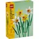 Конструктор LEGO Iconic Нарциси 216 деталей (40747)