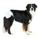 Підгузки для тварин Trixie для собак (сучок) XS-S 20-28 см 12 шт (4011905236315)