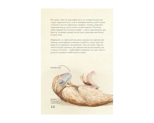 Книга Крейдовий період: Динозаври та інші прадавні тварини - Хуан Карлос Алонсо КСД (9786171283084)