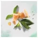 Шампунь Herbal Essences Білий грейпфрут та м’ята 400 мл (8006540318492)