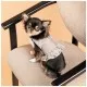 Шлей для собак Pet Fashion Nika XS2 (4823082434442)