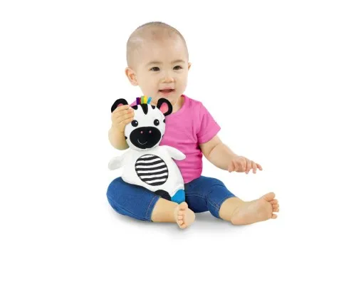 Розвиваюча іграшка Baby Einstein Zen the Zebra (12490)