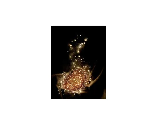Гирлянда Luca Lighting кластер Медная струна теплый белый 8 м (8718861852844)