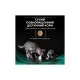 Сухий корм для кішок Purina Pro Plan Veterinary Diets EN з хворобами шлунково-кишкового тракту 1.5 кг (7613035160682)