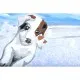 Набор для творчества Sequin Art PAINTING BY NUMBERS JUNIOR Puppies and Ducks (SA1332)