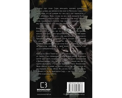 Книга Плоть і вогонь. Книга 2: Світло у пломені - Дженніфер Л. Арментраут BookChef (9786175482438)