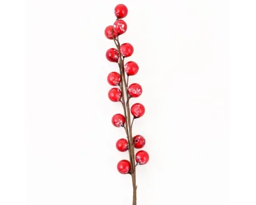 Декоративна гілка YES! Fun з червоними ягодами, 26 см (973524)