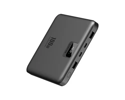 Батарея универсальная Canyon PB-2008 20000mAh PD/100W Q.C/3.0 (CNE-CPB2008DG)