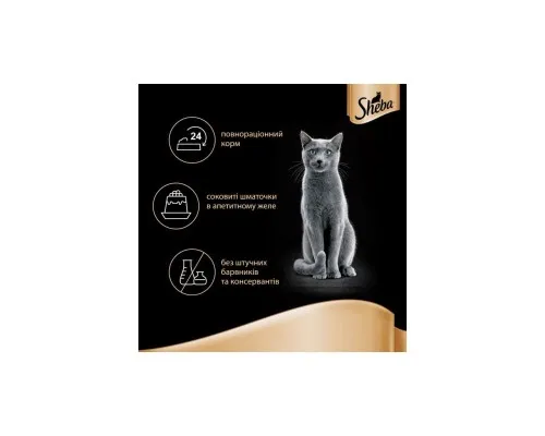 Вологий корм для кішок Sheba cij POU з індичкою в желе 85 г (4770608257231)