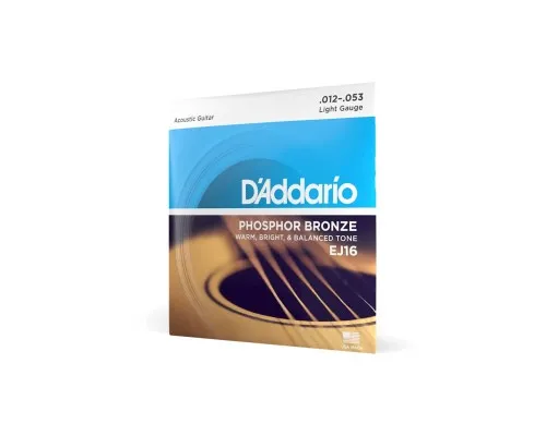 Струни для гітари D'Addario Phosphor Bronze Regular Light (12-53) (EJ16)