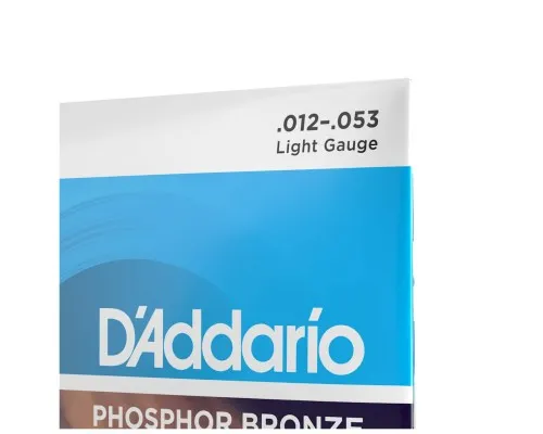 Струни для гітари D'Addario Phosphor Bronze Regular Light (12-53) (EJ16)