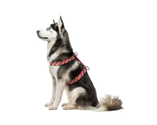 Шлея для собак WAUDOG Nylon з QR-паспортом анатомічна H-подібна "Банани на рожевому" пластиковий фастекс XL (323-4055)