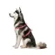 Шлей для собак WAUDOG Nylon с QR-паспортом анатомическая H-образная "Бананы на розовом" пластиковый фастекс XL (323-4055)