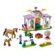 Конструктор LEGO Friends Тренировка лошади 134 деталей (41746)