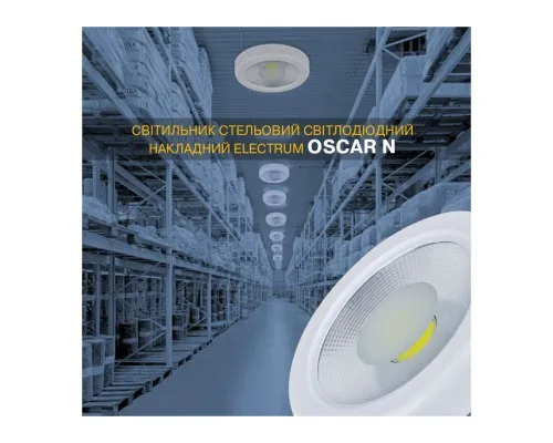 Світильник Electrum Oscar N- 40W 4000К IP54 (B-LD-1972)