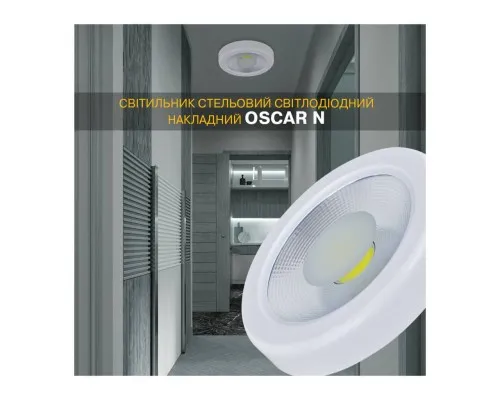 Світильник Electrum Oscar N- 40W 4000К IP54 (B-LD-1972)
