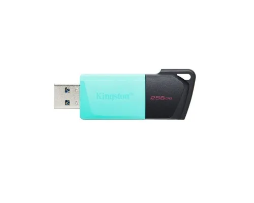 USB флеш накопичувач Kingston 256GB DataTraveler Exodia M USB 3.2 (DTXM/256GB)