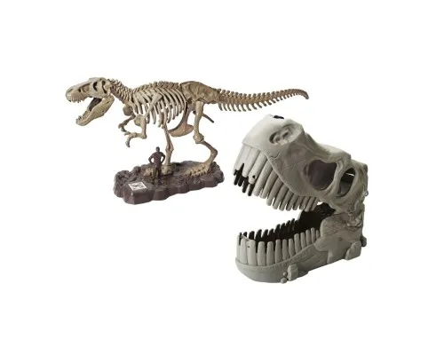 Конструктор Dino Valley "Діно" скелет Ті-Рекса (542409)