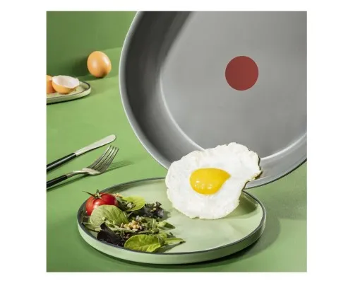 Сковорода Tefal Renewal 24 см (C4260443)