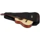 Гітара класична Cort AC70 Open Pore (With Bag) (AC70 OP w/bag)