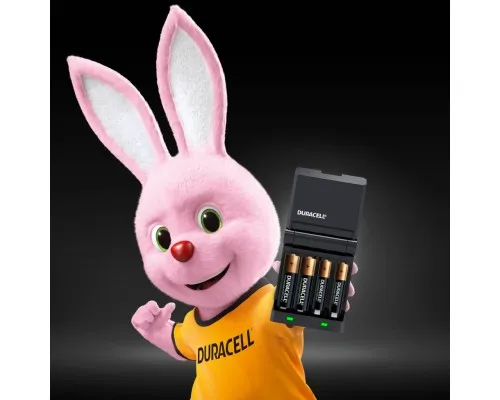 Зарядний пристрій для акумуляторів Duracell CEF27 + 2 rechar AA1300mAh + 2 rechar AAA750mAh (5001374)