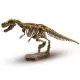 Набор для экспериментов Ses Исследователь Раскопки скелета Тираннозавра (25028S)
