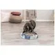 Дряпка (кігтеточка) для котів Trixie картонна з мячиками та мятою 33×5.5 см (синя) (4011905480046)