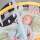 Детский коврик Taf Toys музыкальный с дугами - Приключения на 360° (12785)