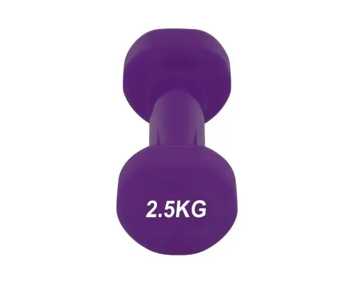 Гантель PowerPlay 4125 Achilles 2.5 кг Фіолетова (PP_4125_2.5kg)