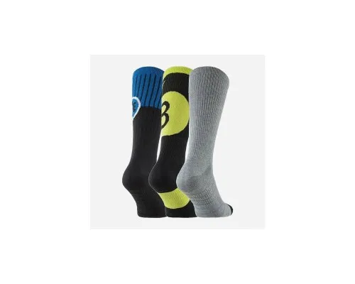 Шкарпетки Nike U NK SB EVERYDAY MAX LTWT CREW 3PR CU6478-902 34-38 3 пари Мультиколор (194500854062)