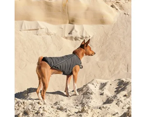 Жилет для животных Pet Fashion E.Vest S серый (4823082424375)
