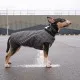 Жилет для животных Pet Fashion E.Vest S серый (4823082424375)