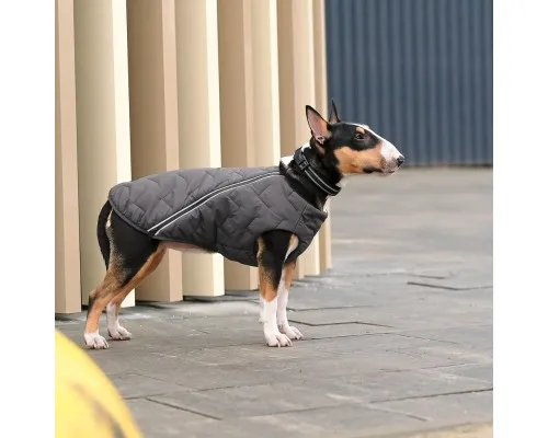 Жилет для тварин Pet Fashion E.Vest S-M сірий (4823082424382)