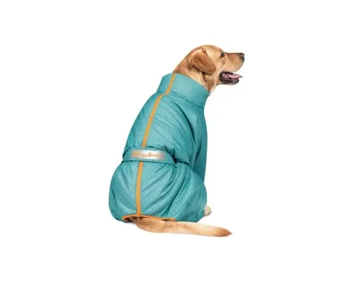 Комбинезон для животных Pet Fashion «Cold» для такс XS (бирюзовый) (4823082425365)