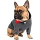 Худі для тварин Pet Fashion Snoodie M сіре (4823082423361)