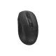 Мышка A4Tech FB10CS Wireless/Bluetooth Stone Black (FB10CS Stone Black)